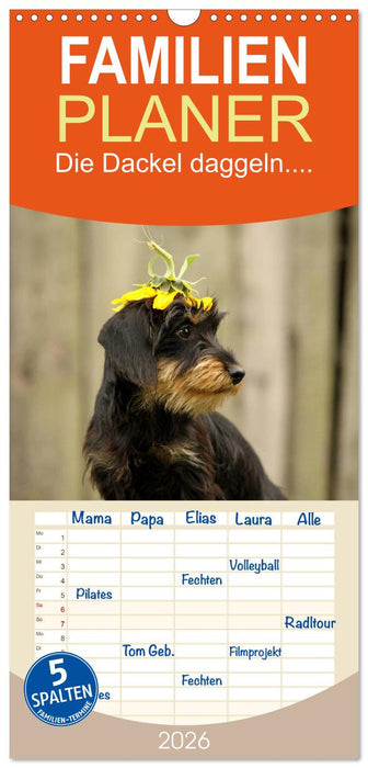 Die Dackel daggeln.... (CALVENDO Familienplaner 2026)