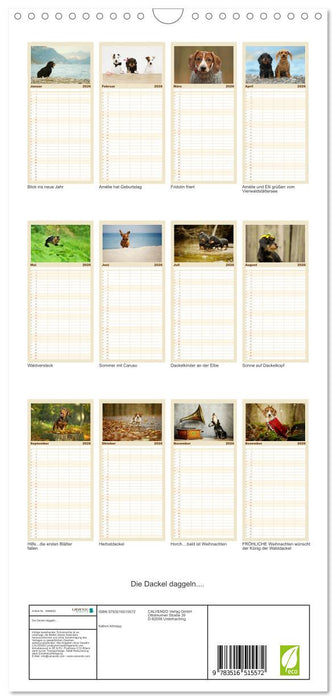 Die Dackel daggeln.... (CALVENDO Familienplaner 2026)