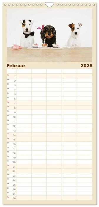 Die Dackel daggeln.... (CALVENDO Familienplaner 2026)