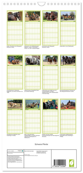 Schwere Pferde (CALVENDO Familienplaner 2026)