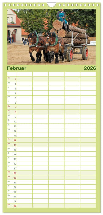 Schwere Pferde (CALVENDO Familienplaner 2026)