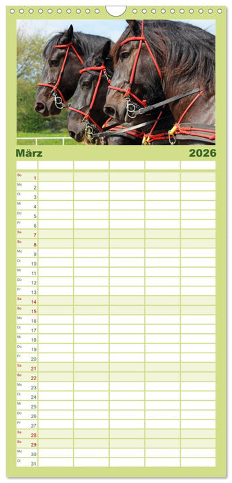 Schwere Pferde (CALVENDO Familienplaner 2026)