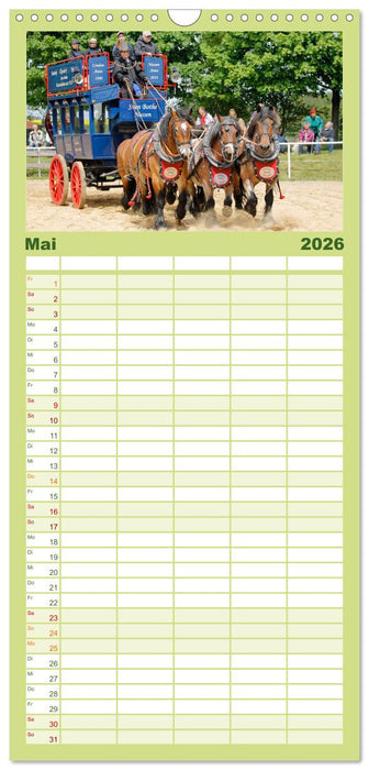 Schwere Pferde (CALVENDO Familienplaner 2026)