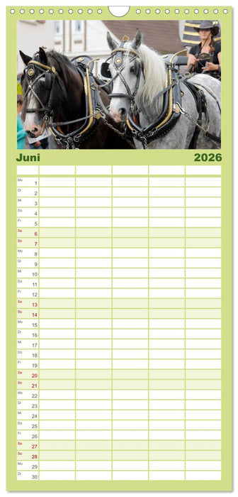 Schwere Pferde (CALVENDO Familienplaner 2026)