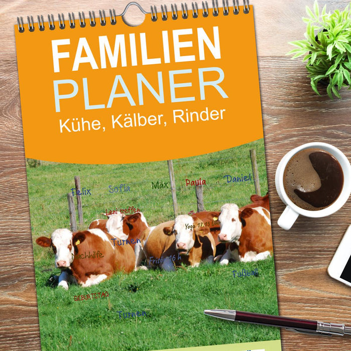 Kühe, Kälber, Rinder (CALVENDO Familienplaner 2026)