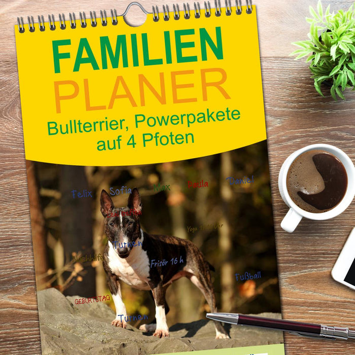 Bullterrier, Powerpakete auf 4 Pfoten (CALVENDO Familienplaner 2026)