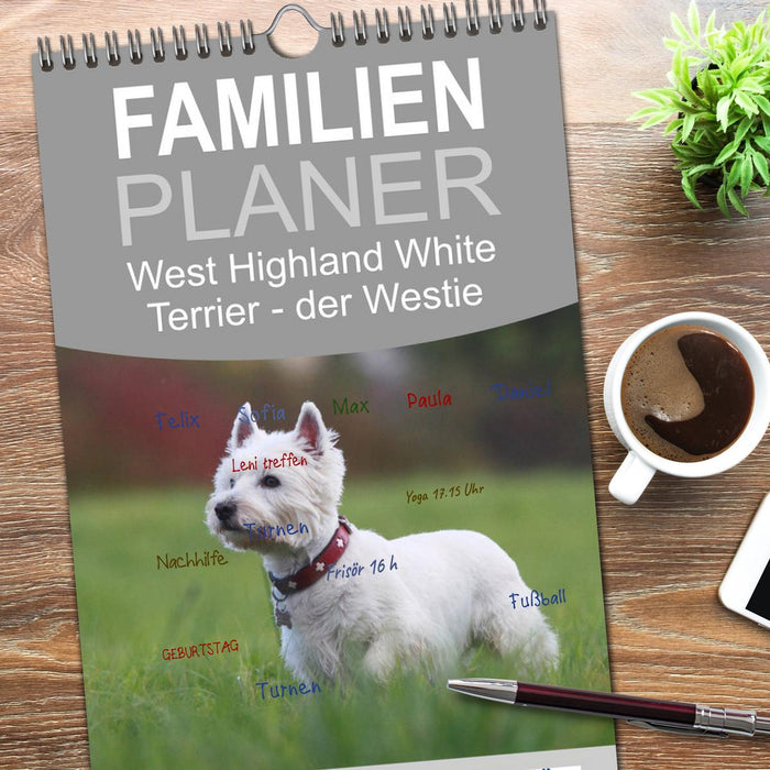 West Highland White Terrier - Selbstbewustes Powerpaket - der Westie (CALVENDO Familienplaner 2026)