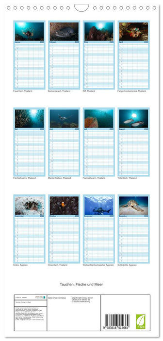 Tauchen, Fische und Meer (CALVENDO Familienplaner 2026)