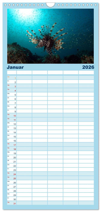 Tauchen, Fische und Meer (CALVENDO Familienplaner 2026)