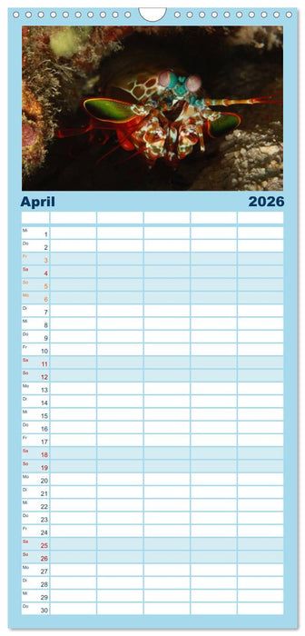 Tauchen, Fische und Meer (CALVENDO Familienplaner 2026)