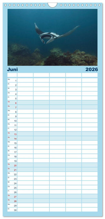 Tauchen, Fische und Meer (CALVENDO Familienplaner 2026)