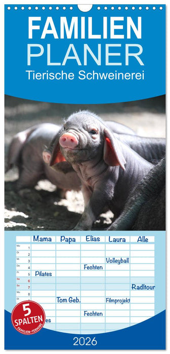 Tierische Schweinerei (CALVENDO Familienplaner 2026)