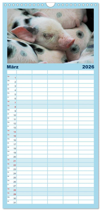 Tierische Schweinerei (CALVENDO Familienplaner 2026)