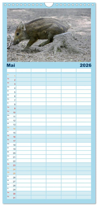 Tierische Schweinerei (CALVENDO Familienplaner 2026)