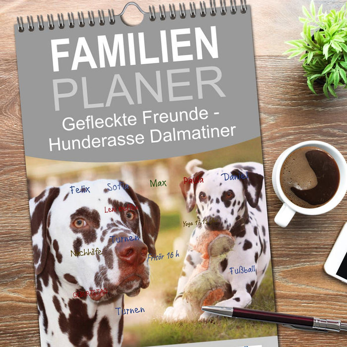 Gefleckte Freunde - Hunderasse Dalmatiner (CALVENDO Familienplaner 2026)