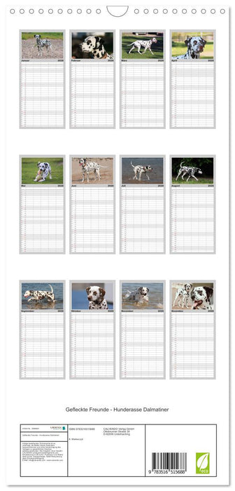 Gefleckte Freunde - Hunderasse Dalmatiner (CALVENDO Familienplaner 2026)