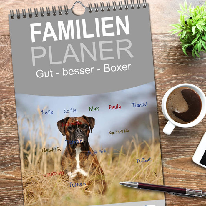 Gut - besser - Boxer (CALVENDO Familienplaner 2026)