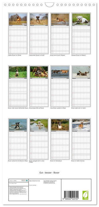 Gut - besser - Boxer (CALVENDO Familienplaner 2026)