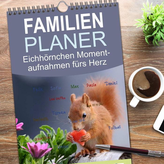Eichhörnchen Momentaufnahmen fürs Herz (CALVENDO Familienplaner 2026)