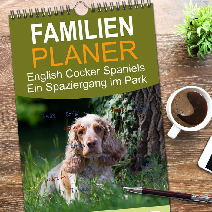 English Cocker Spaniels - Ein Spaziergang im Park (CALVENDO Familienplaner 2026)