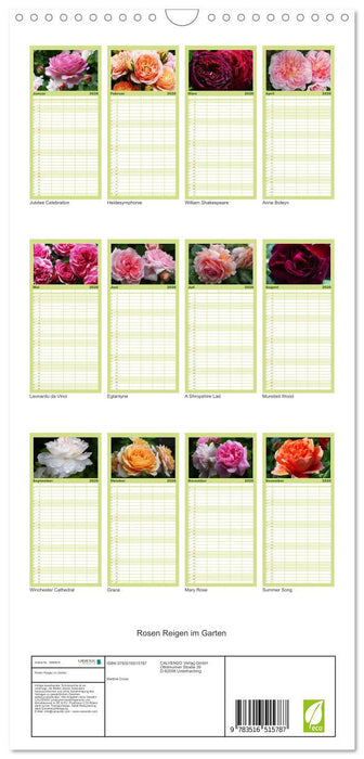 Rosen Reigen im Garten (CALVENDO Familienplaner 2026)