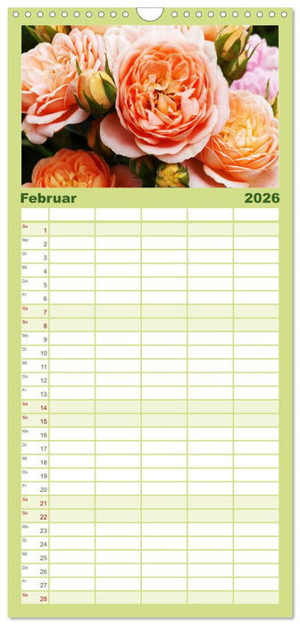 Rosen Reigen im Garten (CALVENDO Familienplaner 2026)