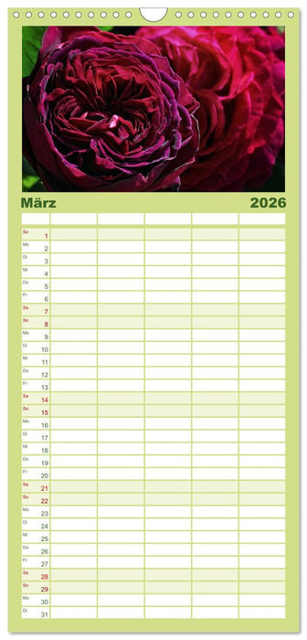 Rosen Reigen im Garten (CALVENDO Familienplaner 2026)