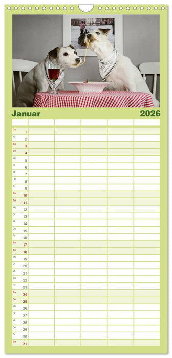 Die Parson-Russell-Terrier ...mit neuen Abenteuern aus der Hundeknipserei (CALVENDO Familienplaner 2026)