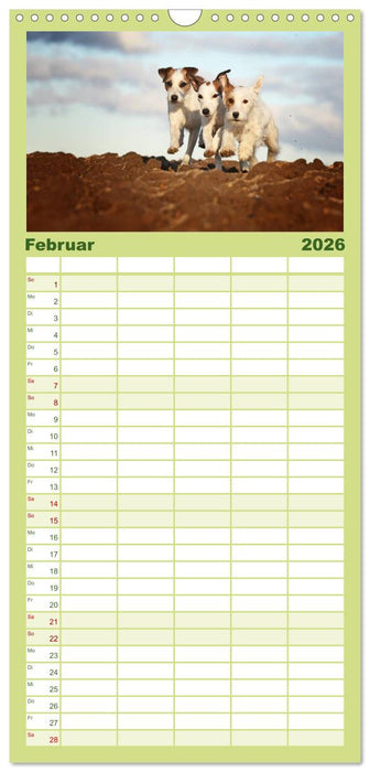 Die Parson-Russell-Terrier ...mit neuen Abenteuern aus der Hundeknipserei (CALVENDO Familienplaner 2026)