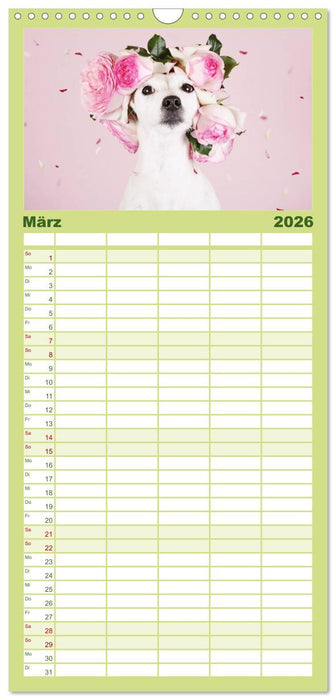 Die Parson-Russell-Terrier ...mit neuen Abenteuern aus der Hundeknipserei (CALVENDO Familienplaner 2026)