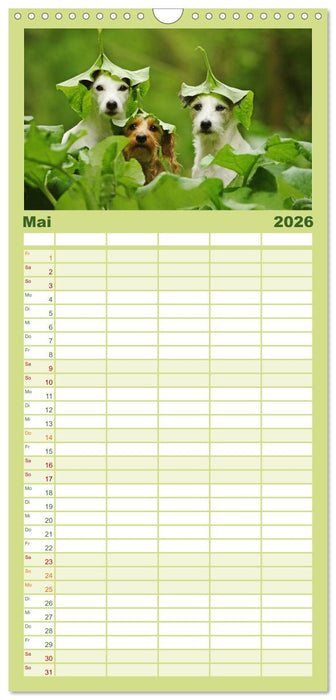 Die Parson-Russell-Terrier ...mit neuen Abenteuern aus der Hundeknipserei (CALVENDO Familienplaner 2026)