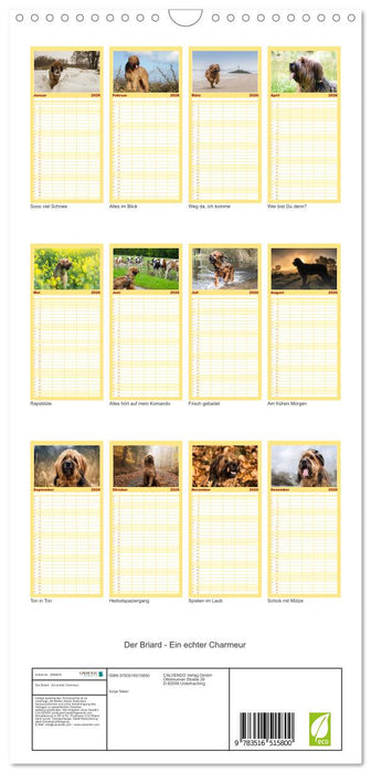 Der Briard - Ein echter Charmeur (CALVENDO Familienplaner 2026)