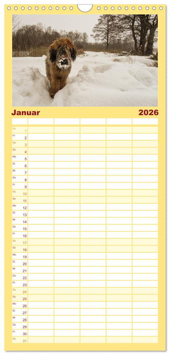 Der Briard - Ein echter Charmeur (CALVENDO Familienplaner 2026)