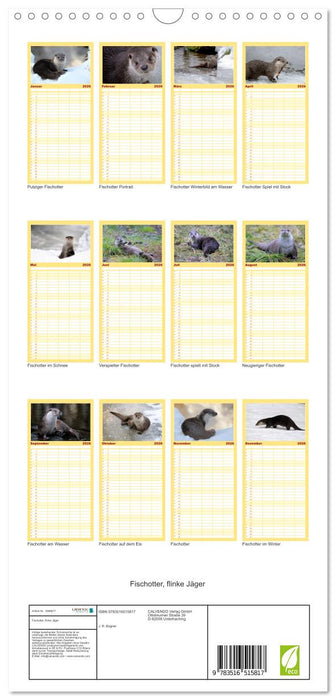 Fischotter, flinke Jäger (CALVENDO Familienplaner 2026)