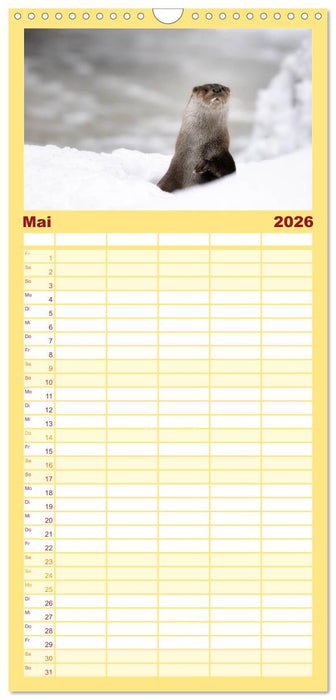 Fischotter, flinke Jäger (CALVENDO Familienplaner 2026)