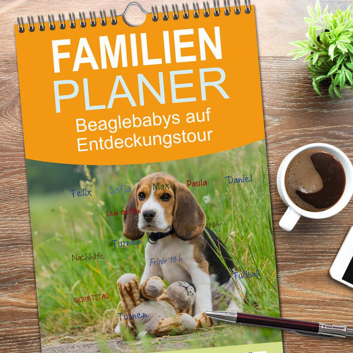 Beaglebabys auf Entdeckungstour (CALVENDO Familienplaner 2026)