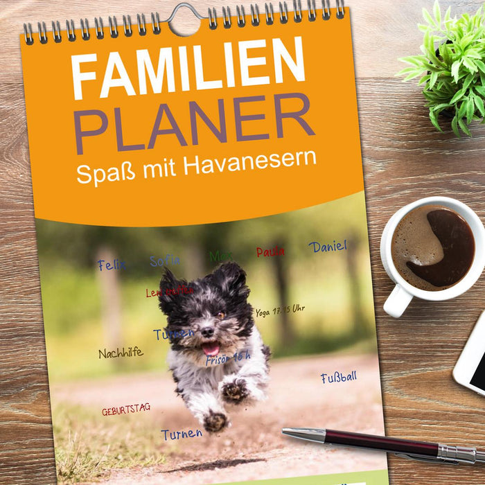 Spaß mit Havanesern (CALVENDO Familienplaner 2026)