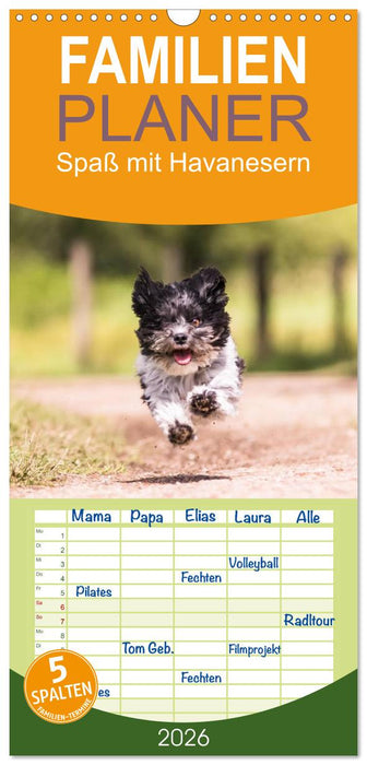 Spaß mit Havanesern (CALVENDO Familienplaner 2026)