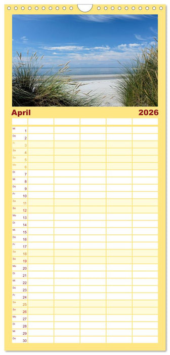 Amrum, die Perle in der Nordsee (CALVENDO Familienplaner 2026)