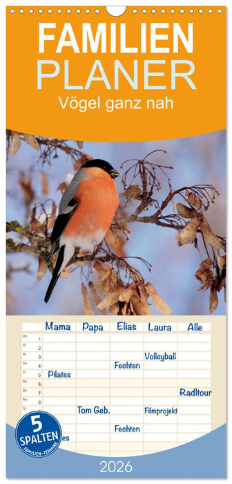 Vögel ganz nah (CALVENDO Familienplaner 2026)