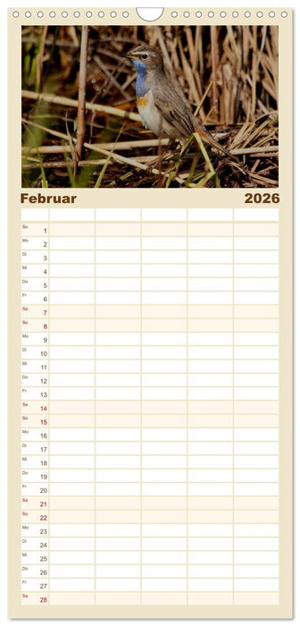 Vögel ganz nah (CALVENDO Familienplaner 2026)