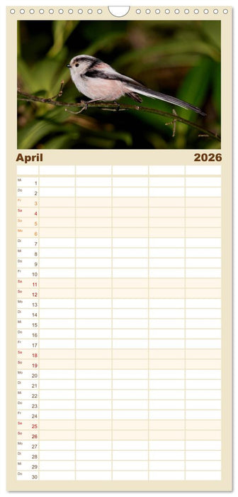 Vögel ganz nah (CALVENDO Familienplaner 2026)