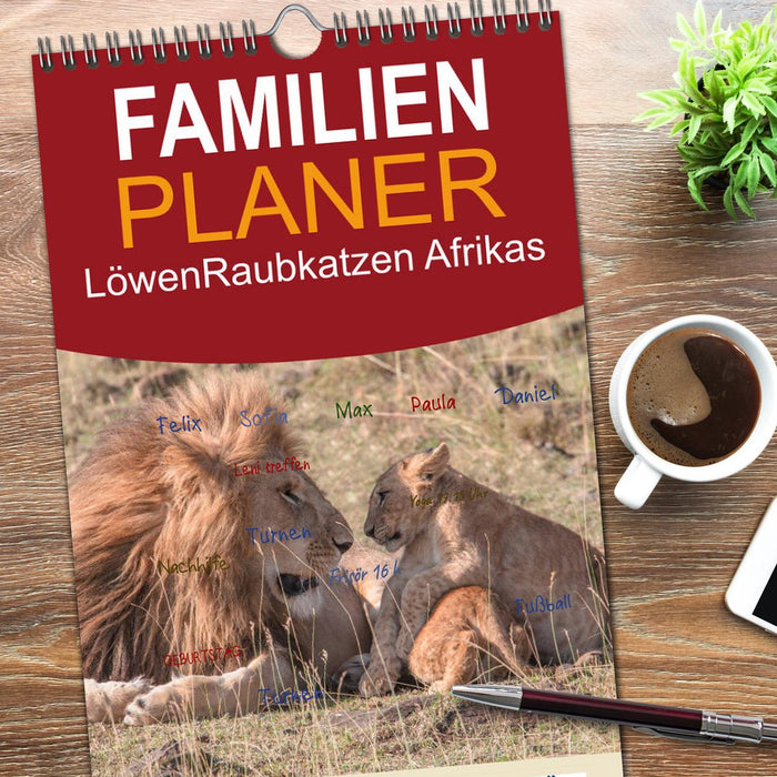 Löwen - Raubkatzen Afrikas (CALVENDO Familienplaner 2026)