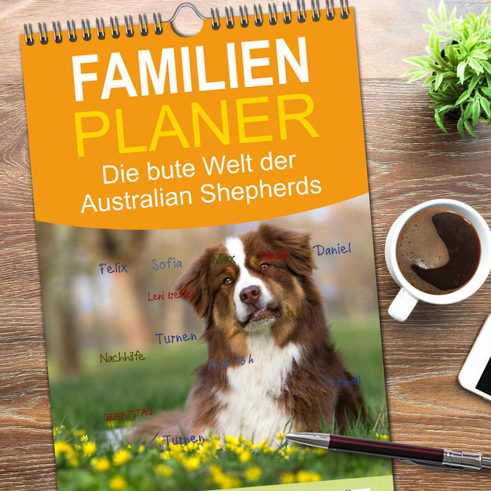 DIE BUNTE WELT DER AUSTRALIAN SHEPHERDS (CALVENDO Familienplaner 2026)