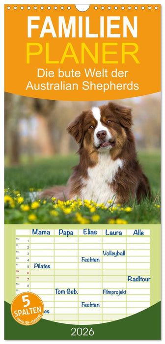 DIE BUNTE WELT DER AUSTRALIAN SHEPHERDS (CALVENDO Familienplaner 2026)