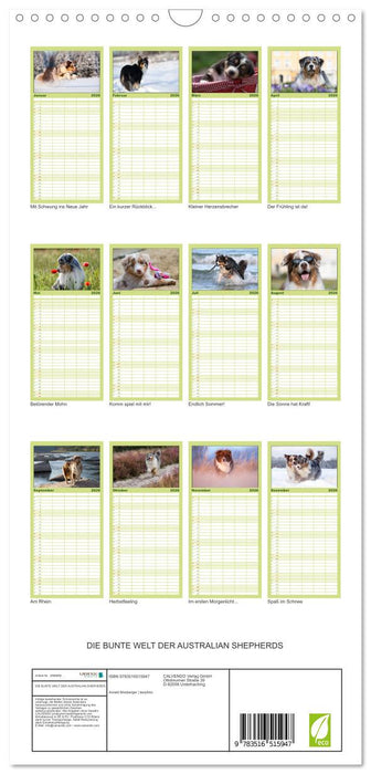 DIE BUNTE WELT DER AUSTRALIAN SHEPHERDS (CALVENDO Familienplaner 2026)
