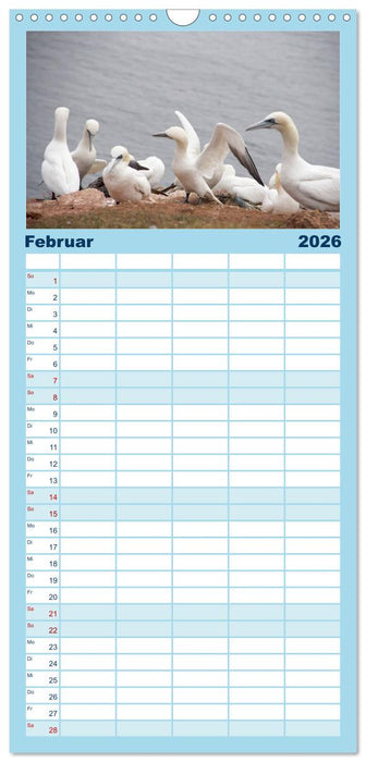 Helgoland - idyllische Nordseeinsel (CALVENDO Familienplaner 2026)