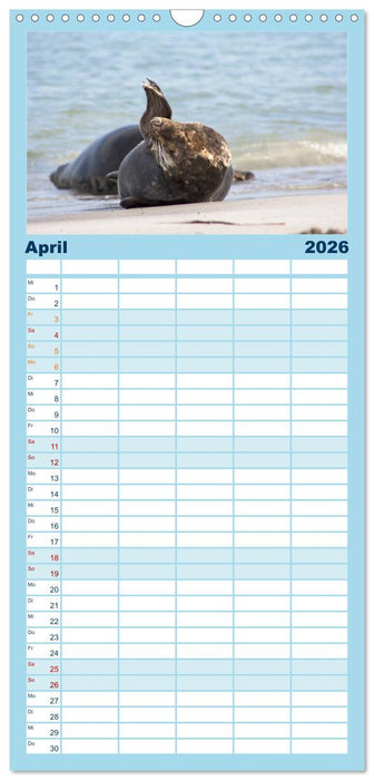 Helgoland - idyllische Nordseeinsel (CALVENDO Familienplaner 2026)