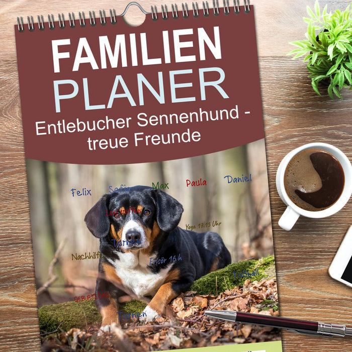 Entlebucher Sennenhund - treue Freunde (CALVENDO Familienplaner 2026)