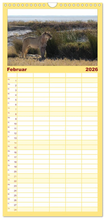 Wildes Namibia (CALVENDO Familienplaner 2026)